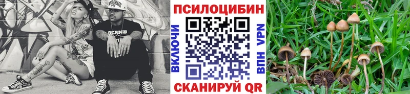 Псилоцибиновые грибы GOLDEN TEACHER  мориарти формула  Усинск 